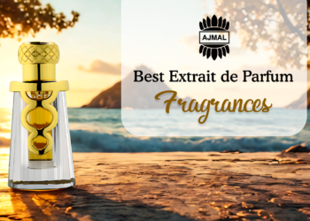 Top 10 Best Extrait de Parfum Fragrances for Intense Wear