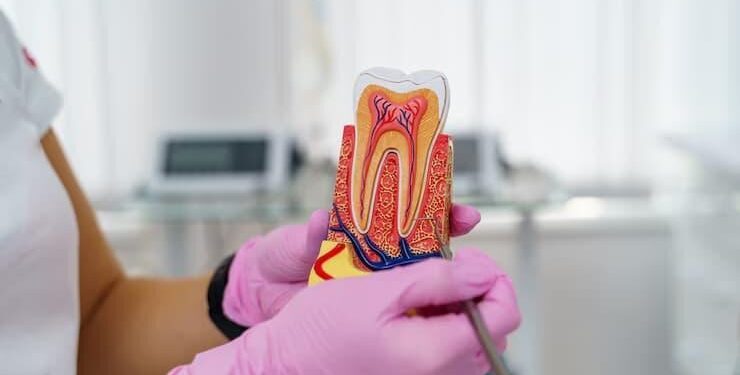 Saving Teeth Through Modern Microsurgery: How Apicoectomy Evolved and What Patients Can Expect Next Year